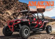 Amazing Raid Buggy Maroc