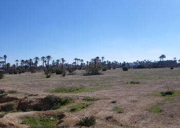 Terrains à vendre Marrakech