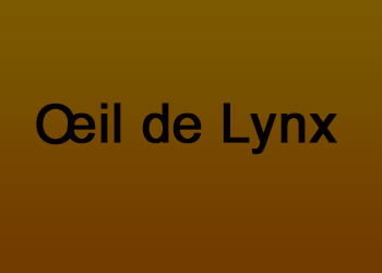 Oeil de lynx