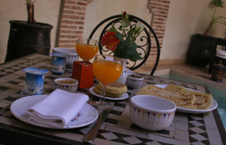 Oiseau du Paradis patio