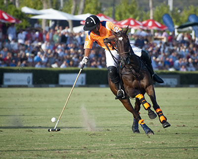 polo-a-marrakech
