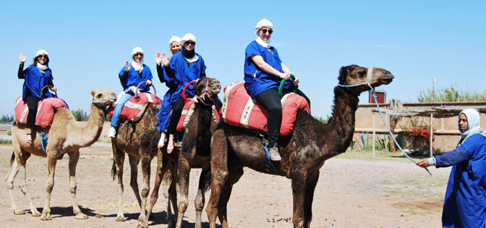 Maroc Loisirs dromadaires