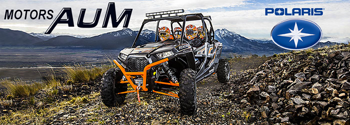 RZR 1000 XP4 POLARIS