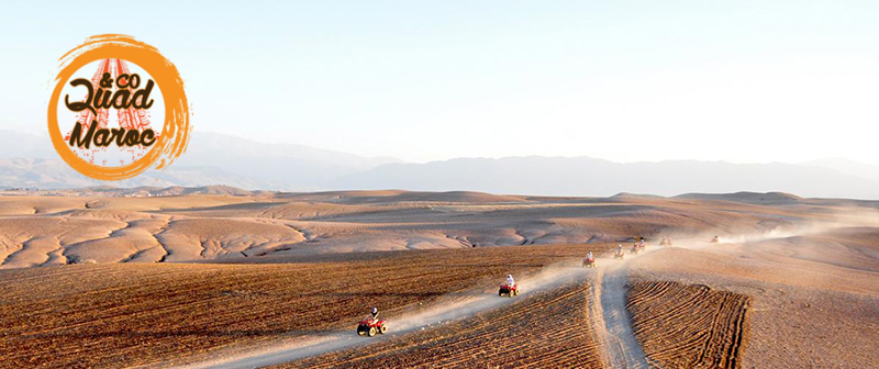 Quad and co Marrakech